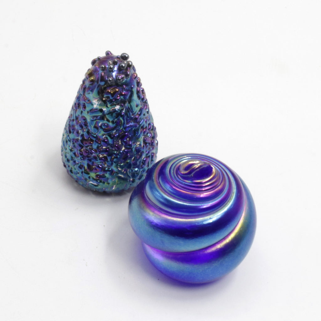 Sea Urchin and Shell