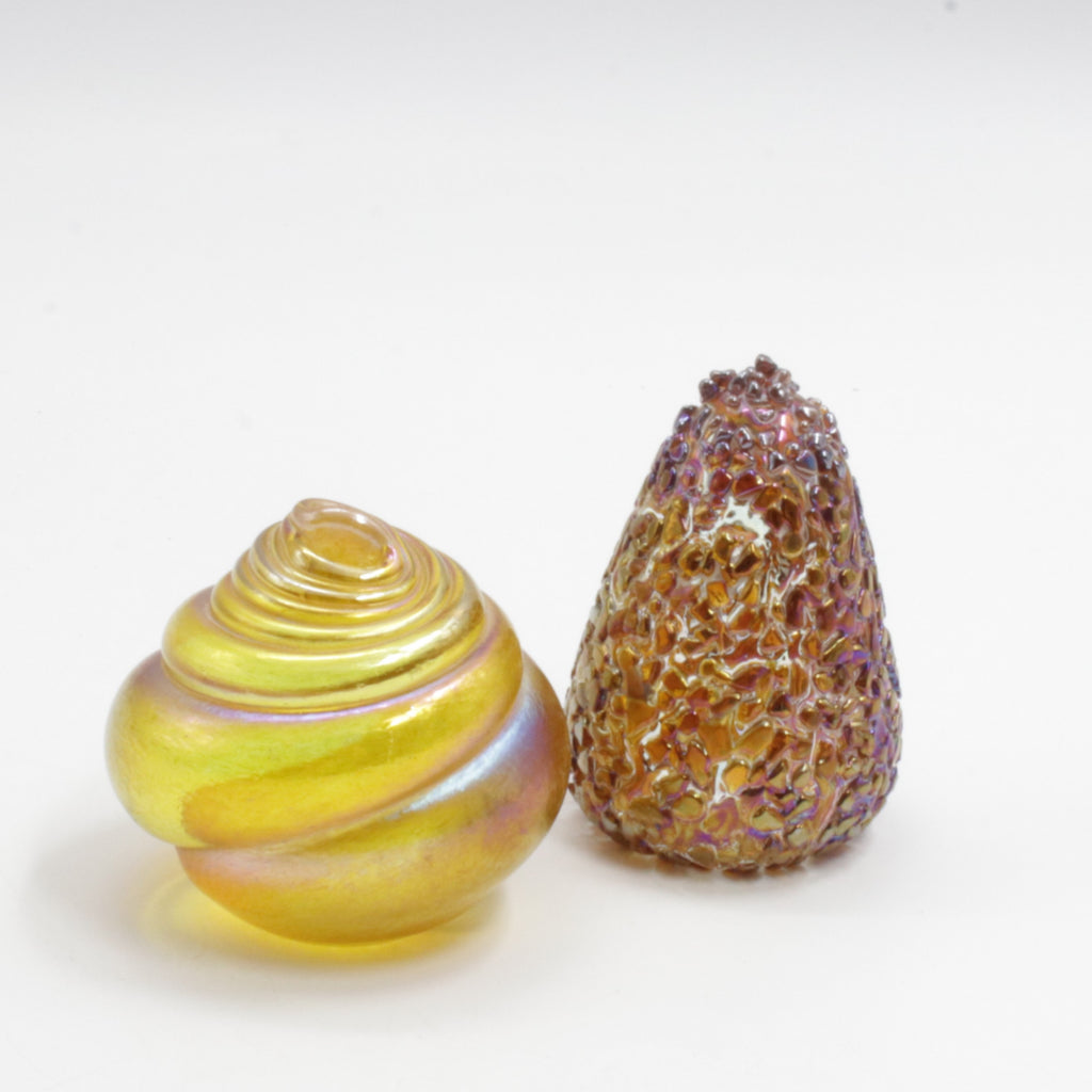 Sea Urchin and Shell