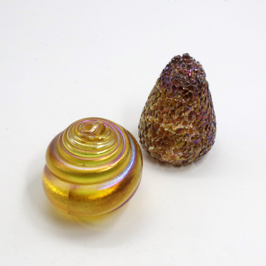 Sea Urchin and Shell