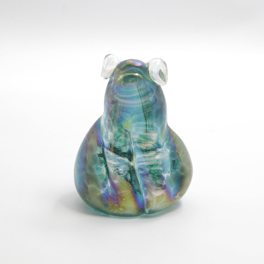 Green Speckled Glass Frog