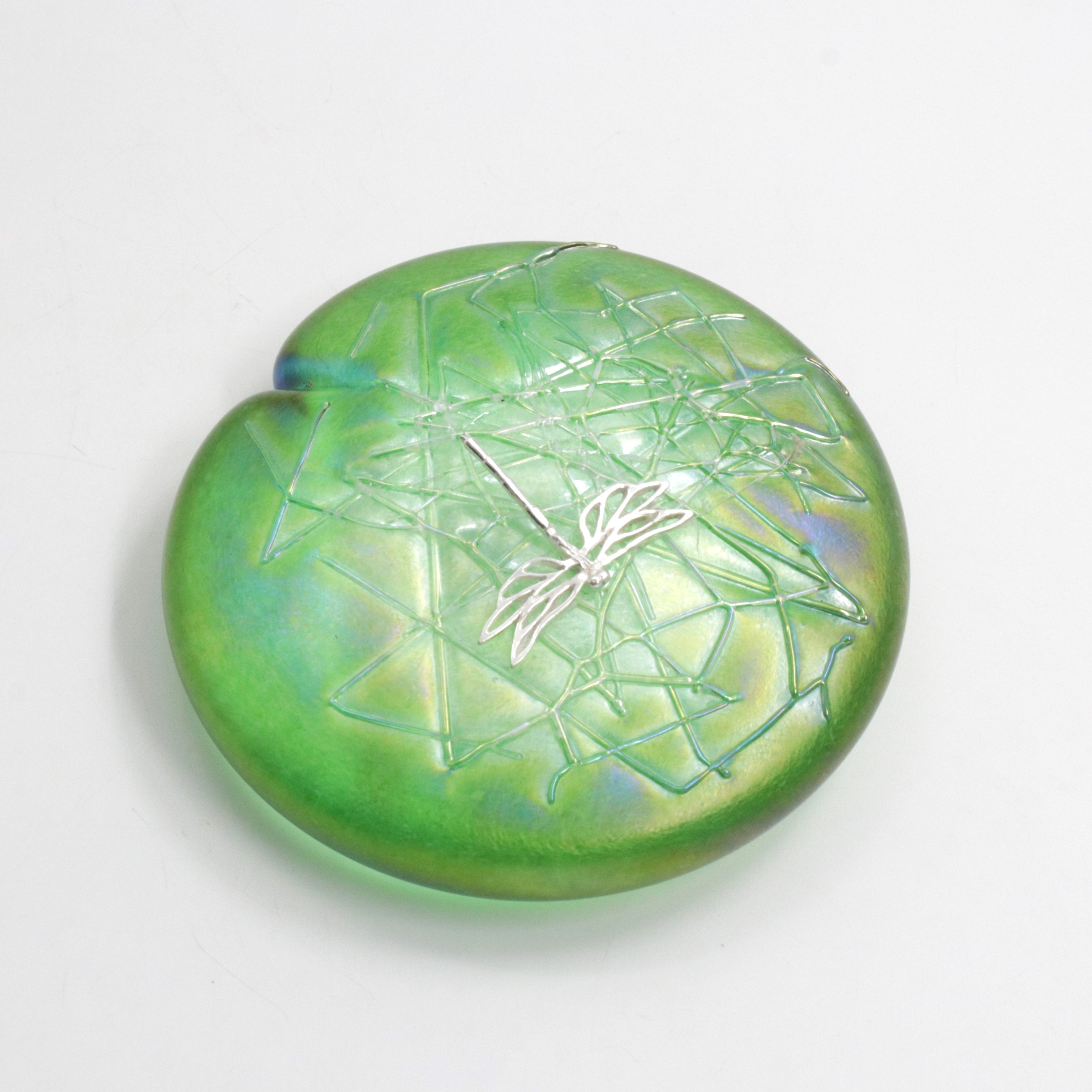 Dragonfly on Lily Pad