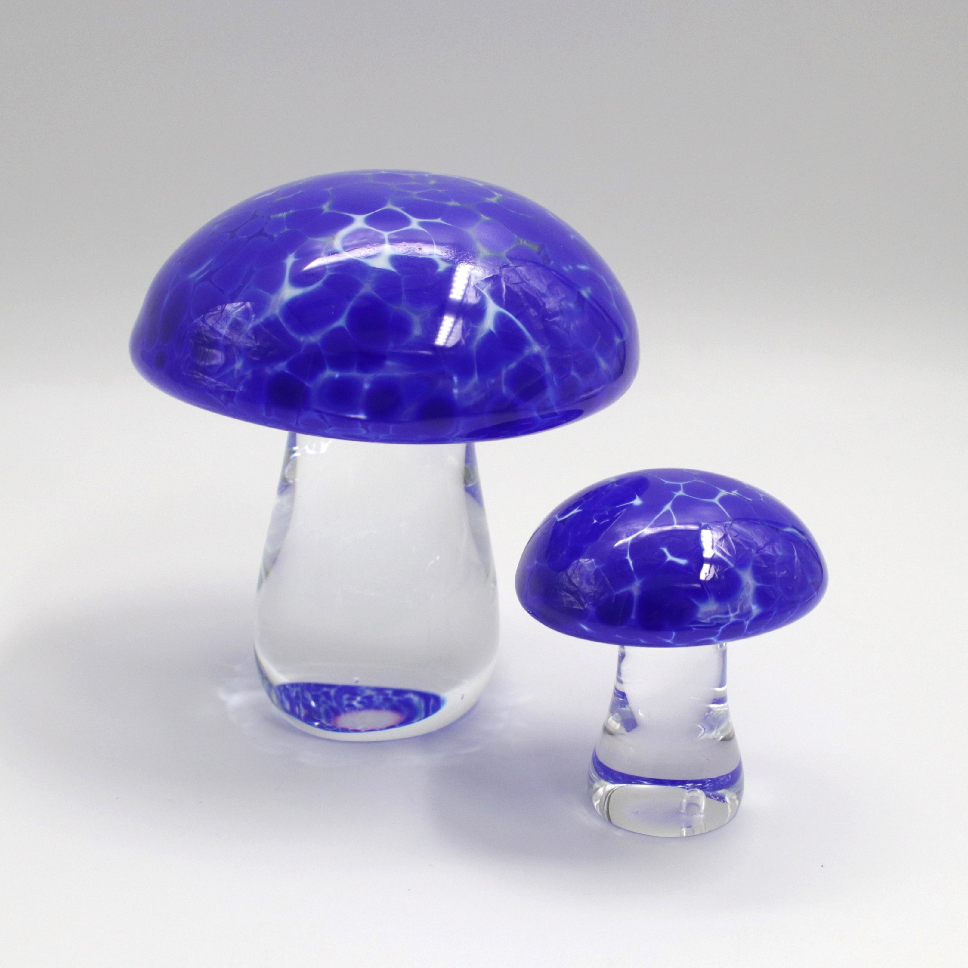 Blue Speckled Mushrooms