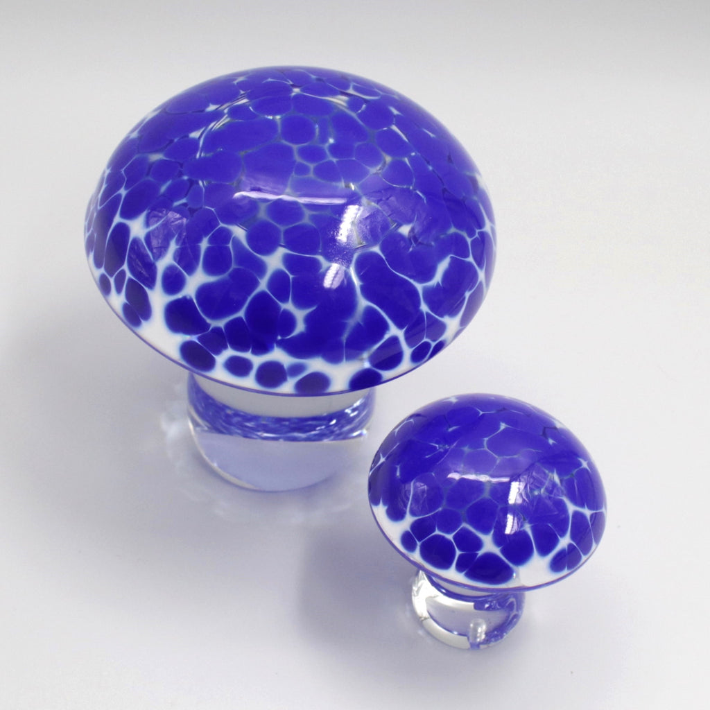 Blue Speckled Mushrooms