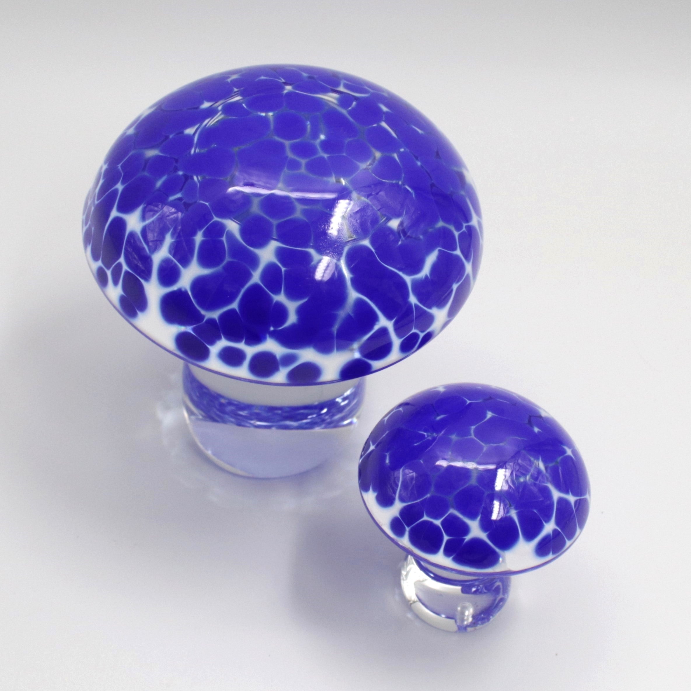 Blue Speckled Mushrooms