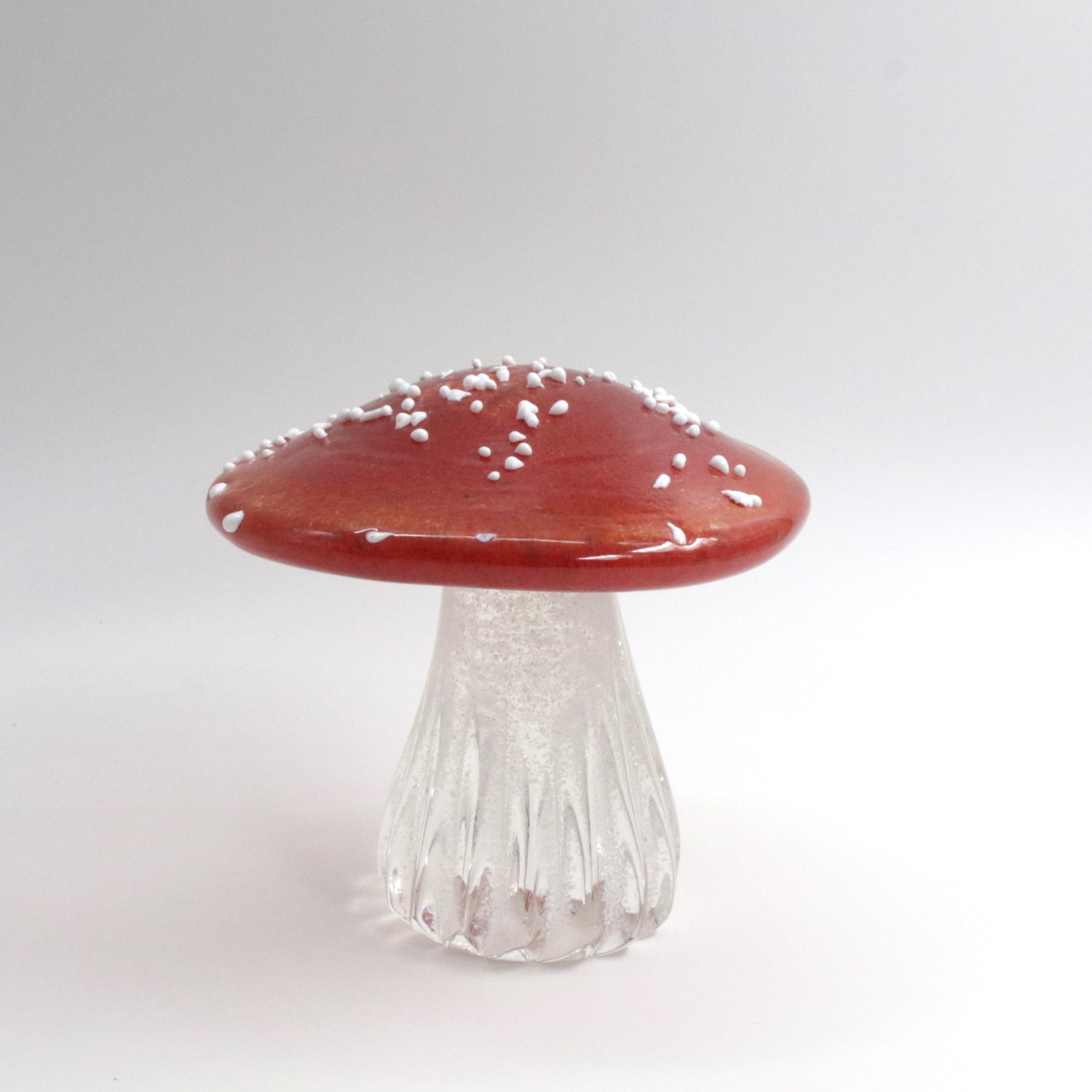 Glass Toadstool