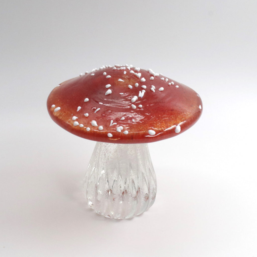 Glass Toadstool