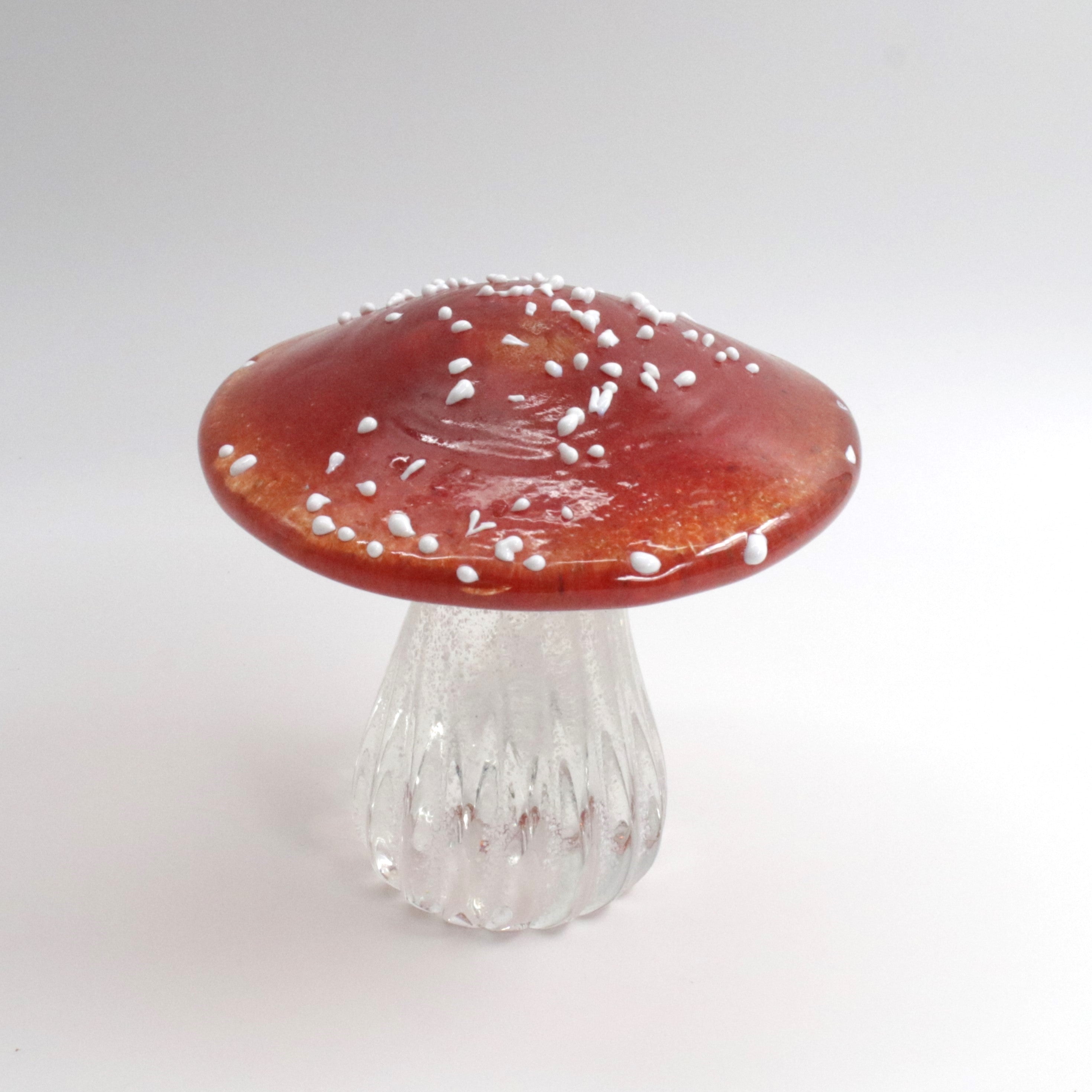 Glass Toadstool