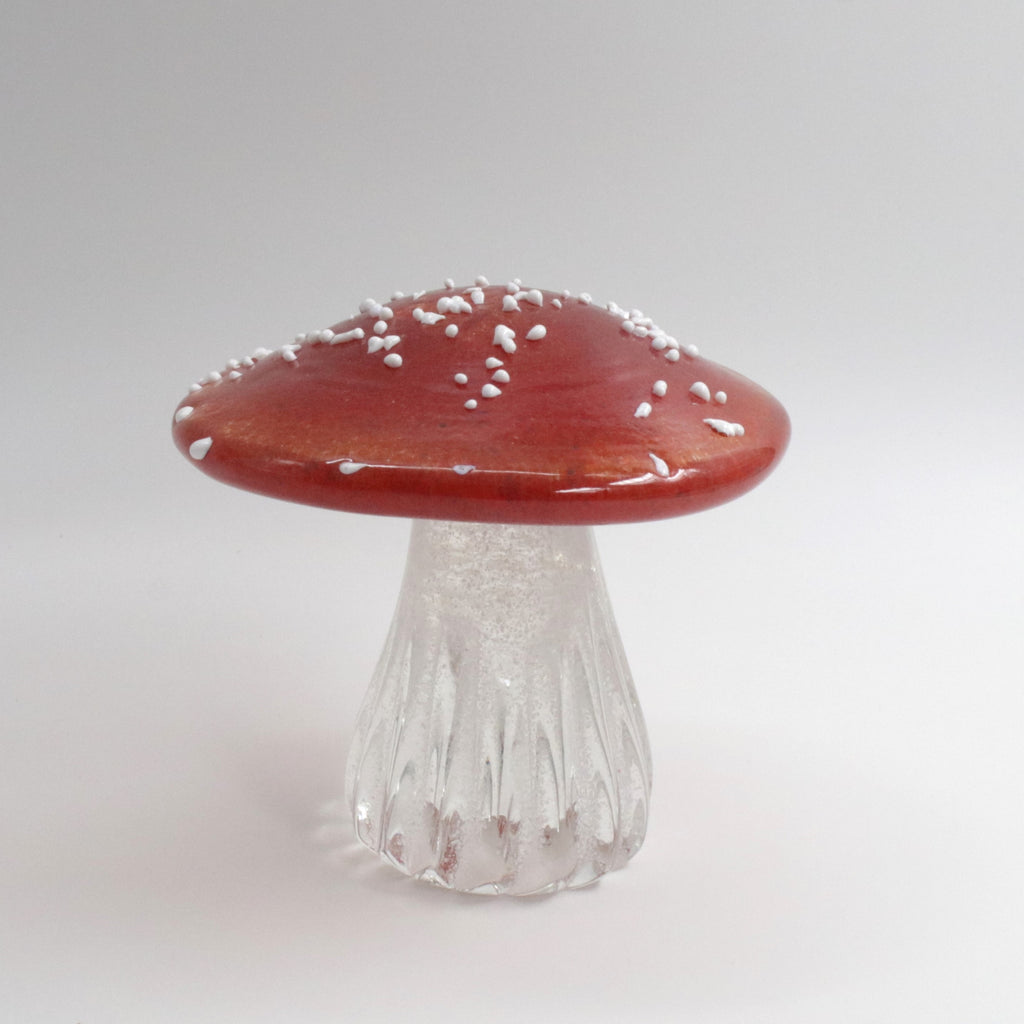 Glass Toadstool